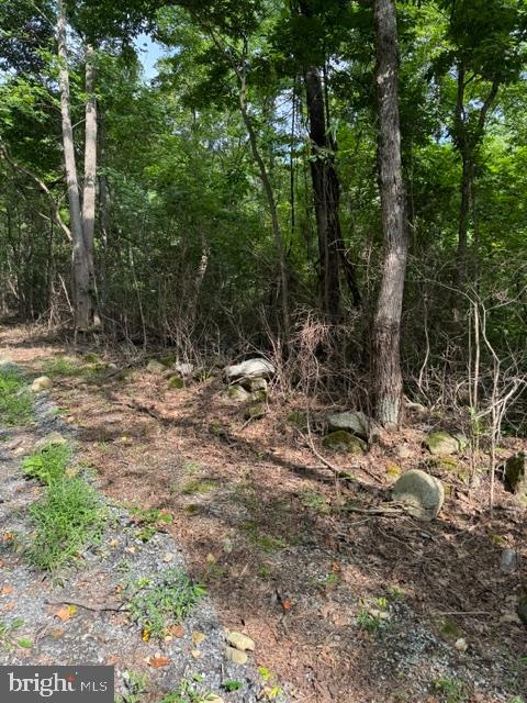 Smith Run Road Bentonville, VA 22610 - Photo 13 of 19 Gallery Image 13