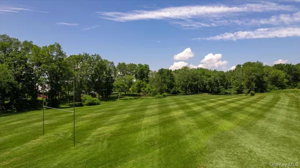 a view of a big yard with swimming pool and green space
