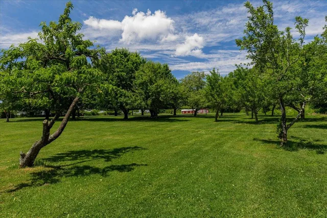 a view of a garden with an outdoor space