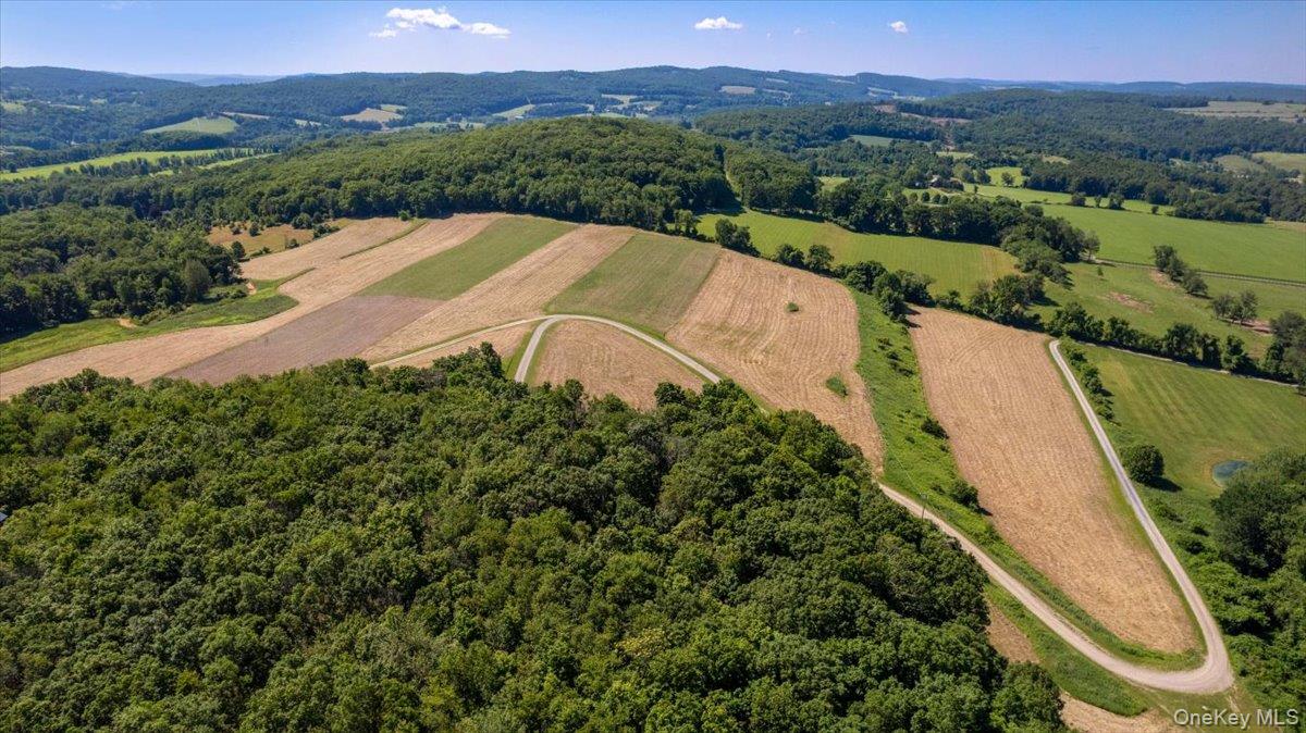 367 Prospect Hill Road Ancramdale, NY 12503 - Photo 46 of 50 Overview of the property landscape featuring a mountain backdrop.