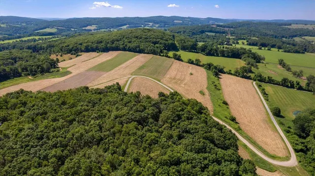 a view of yard with green space