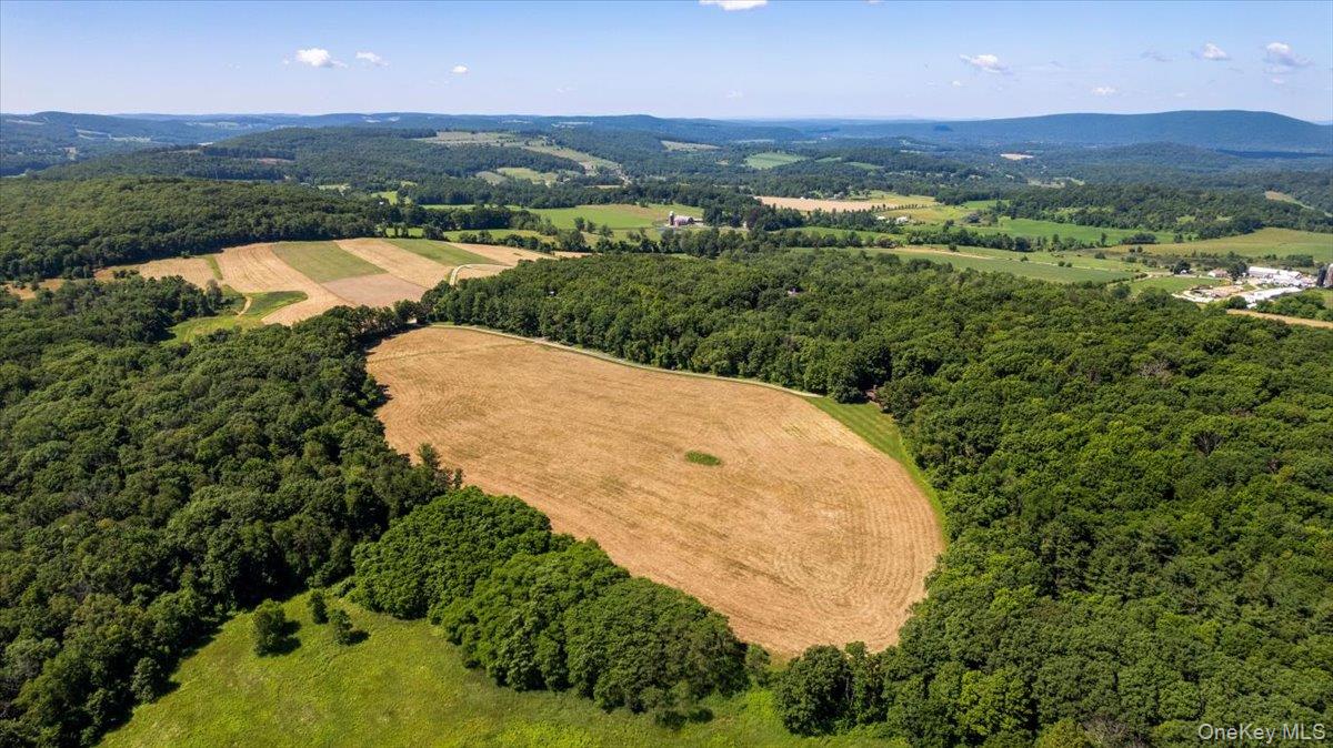 367 Prospect Hill Road Ancramdale, NY 12503 - Photo 48 of 50 Southwest fields