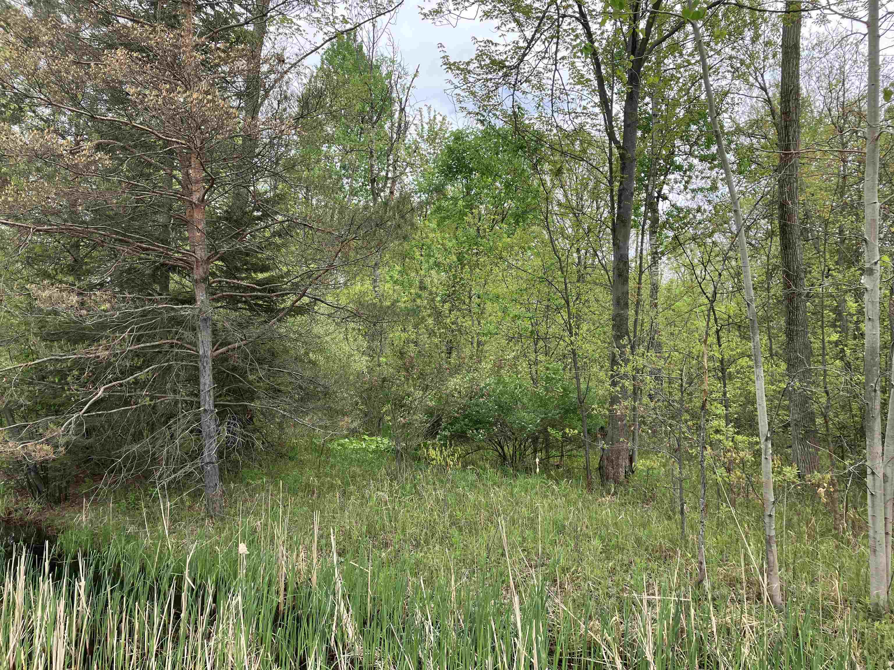 3.96-acres West Isabella Road Midland, MI 48640 - Photo 3 of 9