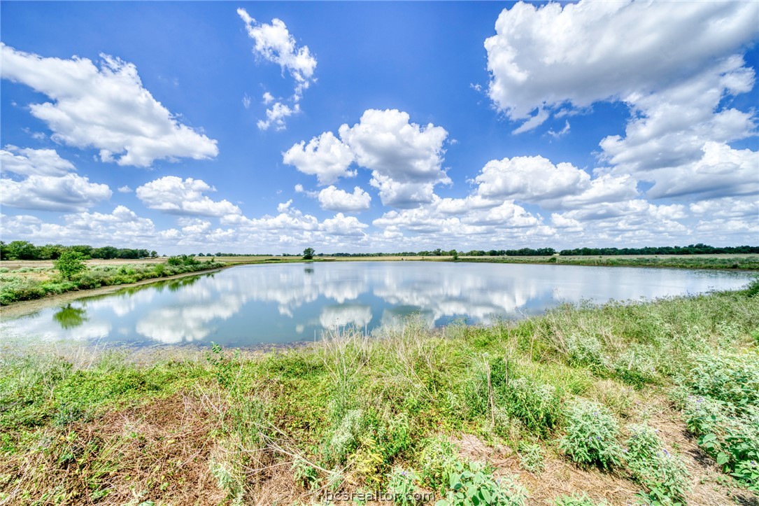 12068 Dunns Fort Road Hearne, TX 77859 - Photo 32 of 50 Gallery Image 32