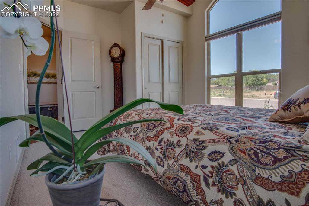 113 Rocchio Drive Florence, CO 81226 - Photo 31 of 34 a living room with a bed and a potted plant