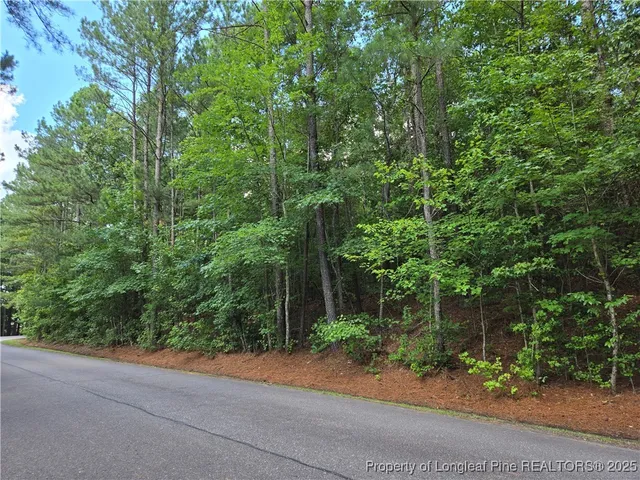 $55,000 | 893 Loblolly Drive, Vass, NC 28394
