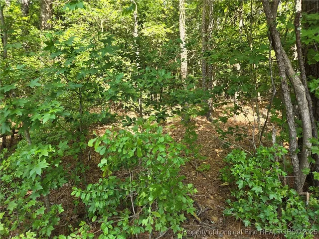 $55,000 | 893 Loblolly Drive, Vass, NC 28394
