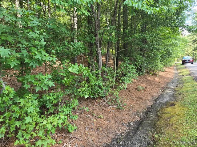 $55,000 | 893 Loblolly Drive, Vass, NC 28394