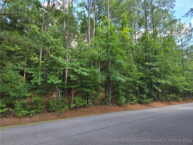 $55,000 | 893 Loblolly Drive, Vass, NC 28394