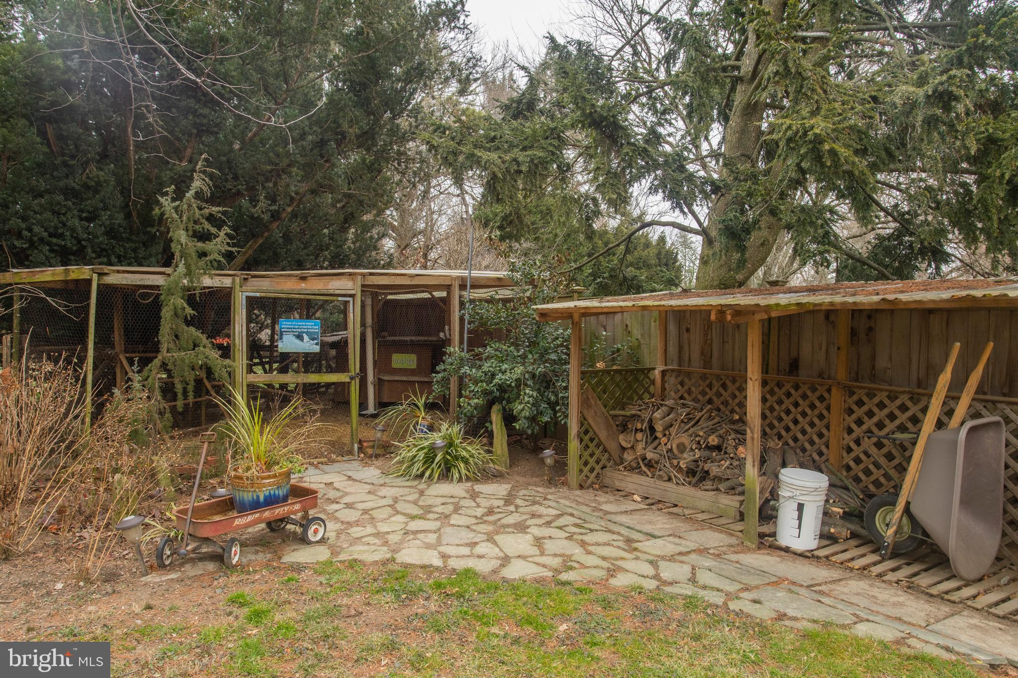233 Barker Road Wyncote, PA 19095 - Photo 60 of 61 (Chickens not included :)