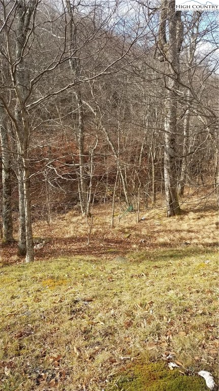 Xx Fox Crest Road Beech Mountain, NC 28604 - Photo 3 of 6 Gallery Image 3