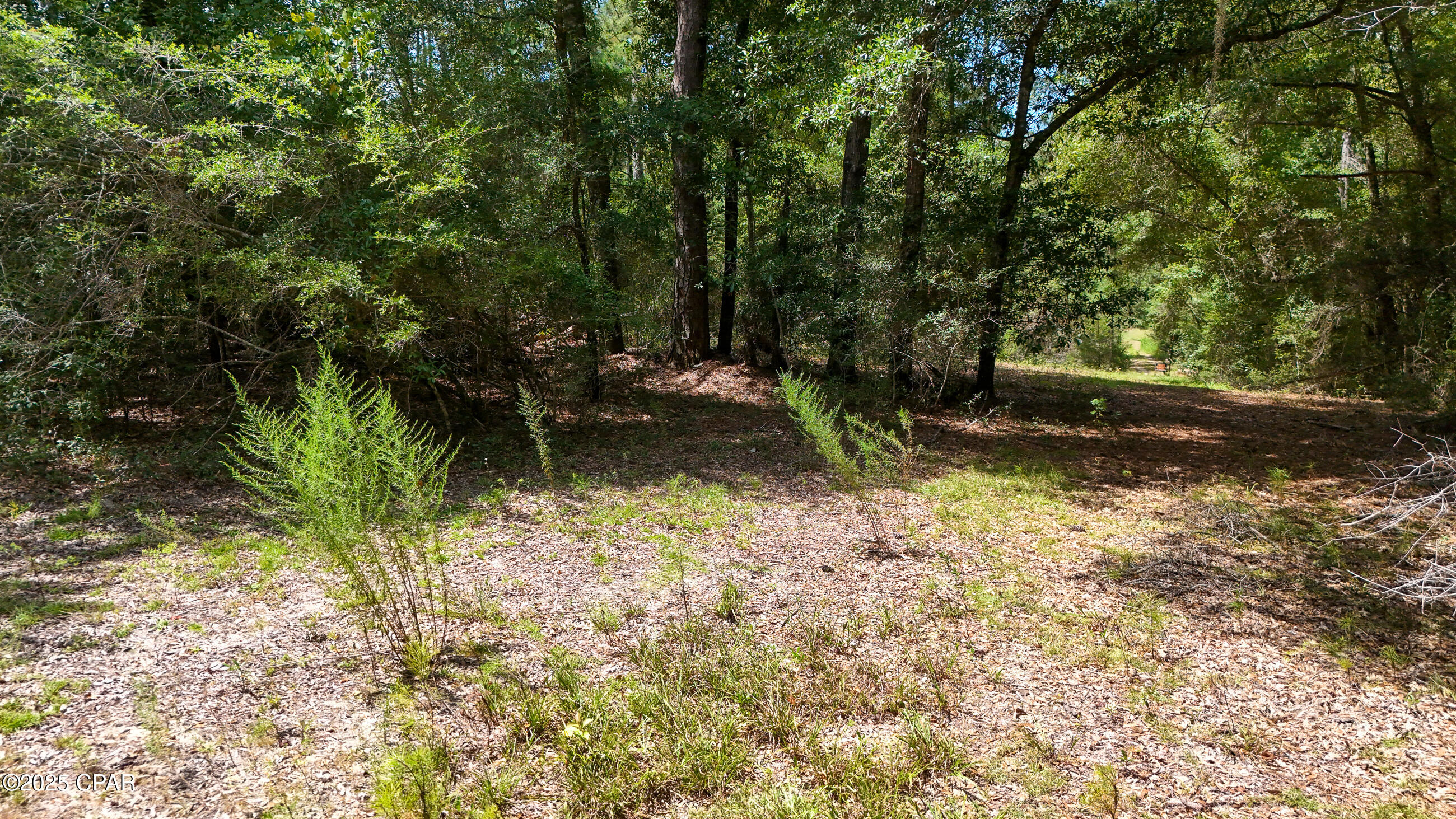 1730 Firetower Road Chipley, FL 32428 - Photo 41 of 49