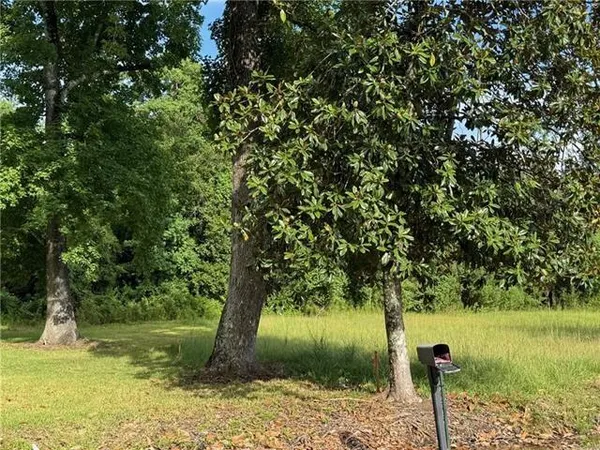 $15,000 | 32882 Lower Rome Road, Springfield, LA 70462