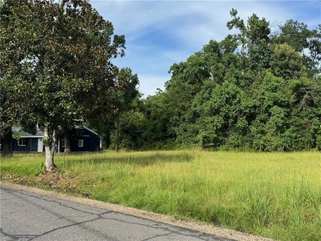 32882 Lower Rome Road Springfield, LA 70462 - Photo 3 of 6