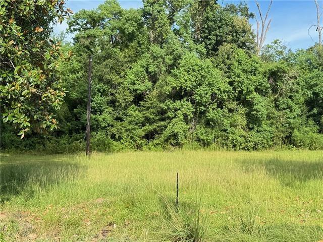 32882 Lower Rome Road Springfield, LA 70462 - Photo 4 of 6