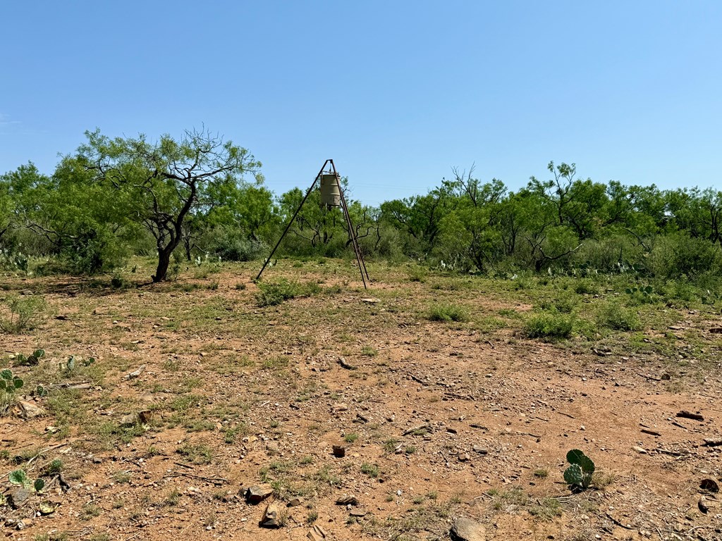 6501 Old Junction Road Mason, TX 76856 - Photo 12 of 26 a view of a yard with a tree