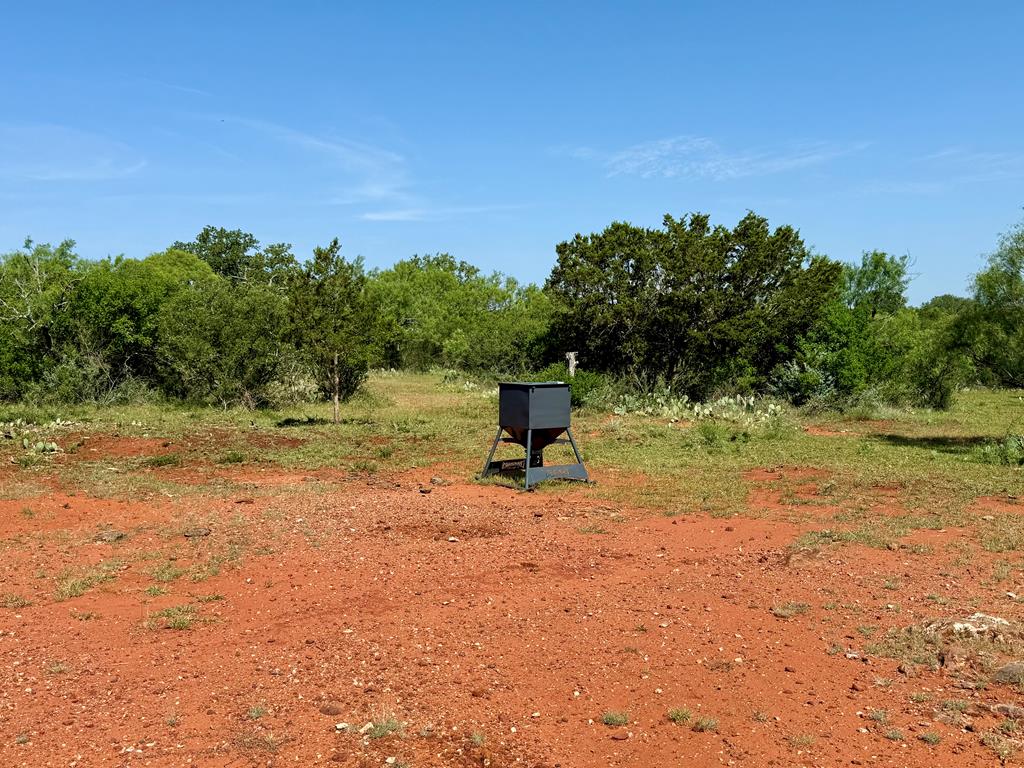 6501 Old Junction Road Mason, TX 76856 - Photo 13 of 26 a backyard of a house with lots of green space