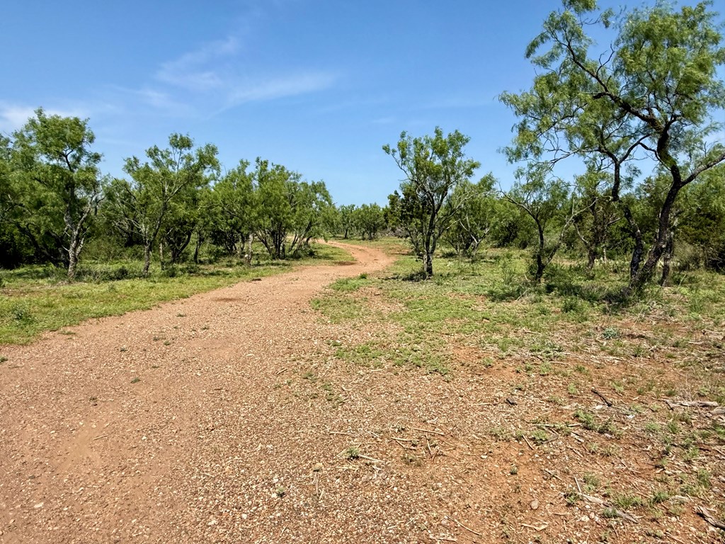 6501 Old Junction Road Mason, TX 76856 - Photo 16 of 26 a view of a yard with an trees