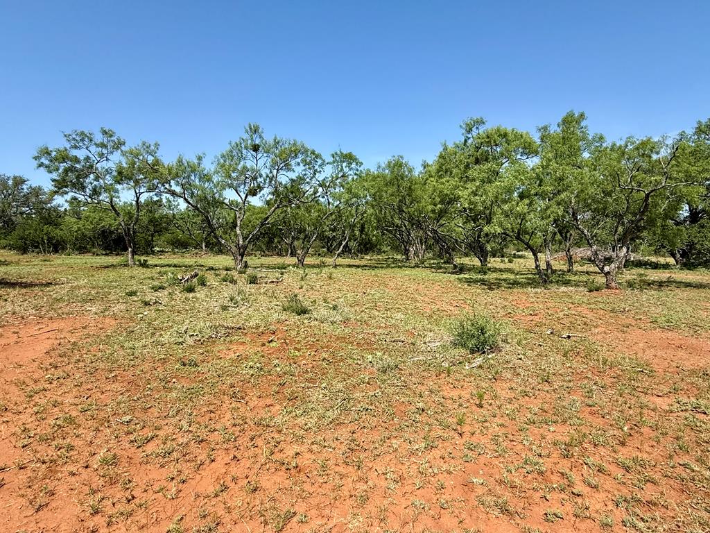 6501 Old Junction Road Mason, TX 76856 - Photo 18 of 26 a view of a yard with a tree
