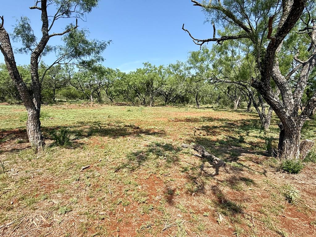 6501 Old Junction Road Mason, TX 76856 - Photo 19 of 26 a view of a yard with an trees