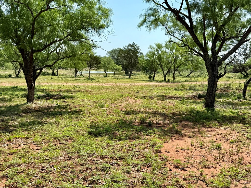 6501 Old Junction Road Mason, TX 76856 - Photo 2 of 26 a view of outdoor space with trees all around