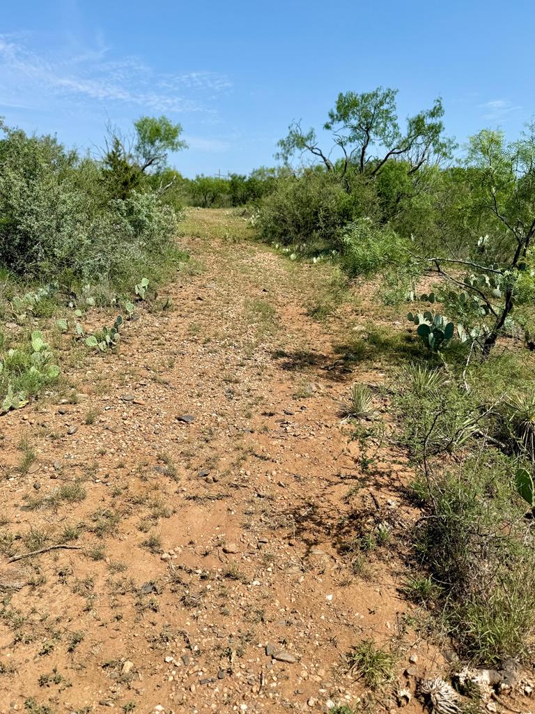 6501 Old Junction Road Mason, TX 76856 - Photo 22 of 26 a view of a lake with a garden