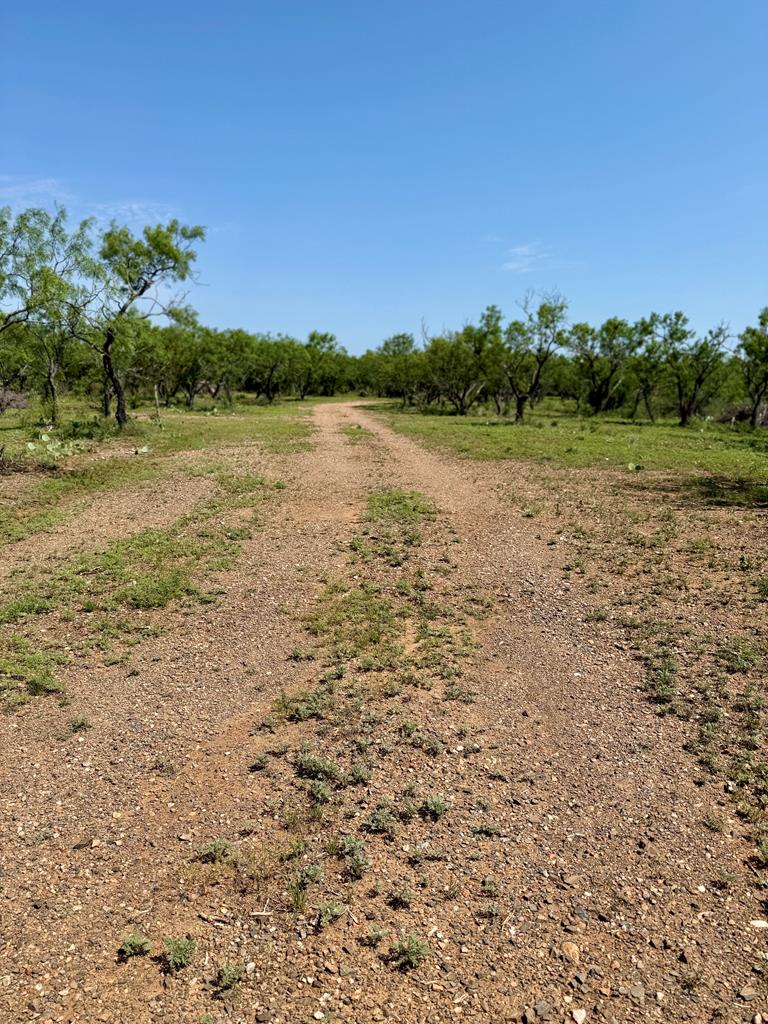 6501 Old Junction Road Mason, TX 76856 - Photo 25 of 26 a view of lake with green space