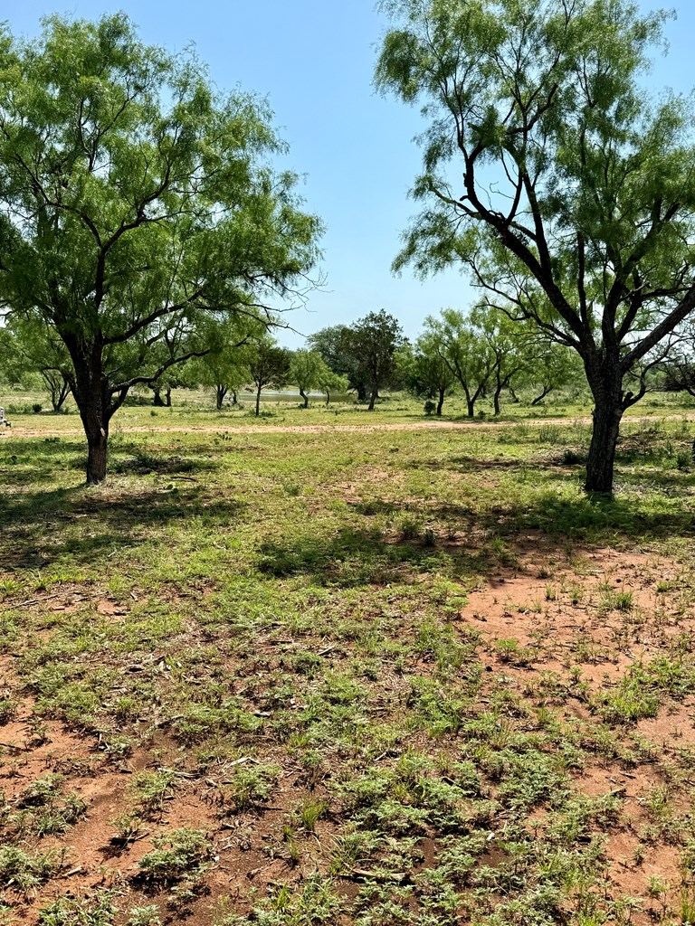 6501 Old Junction Road Mason, TX 76856 - Photo 3 of 26 a view of a yard with an trees