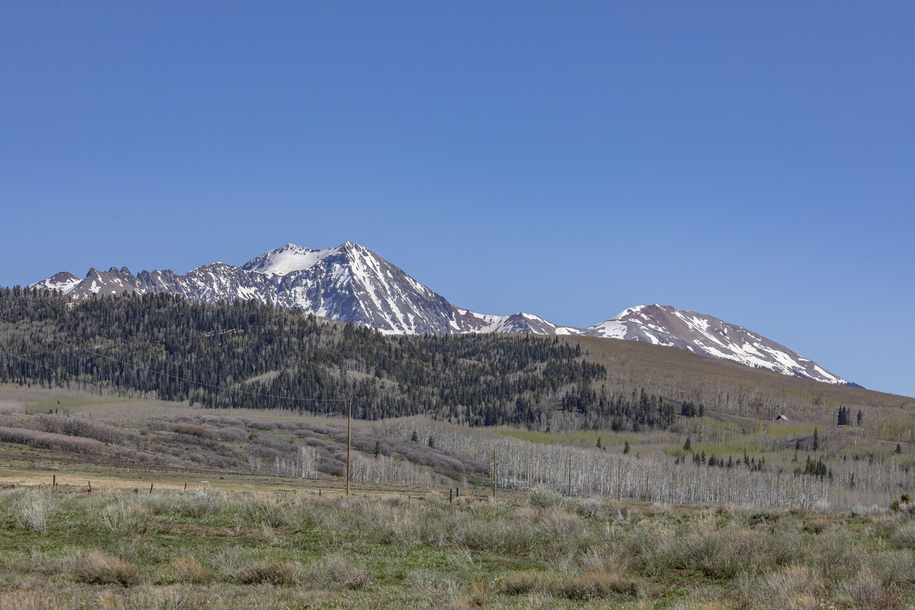 1692 County Road Placerville, CO 81430 - Photo 23 of 36 a view of a dry field