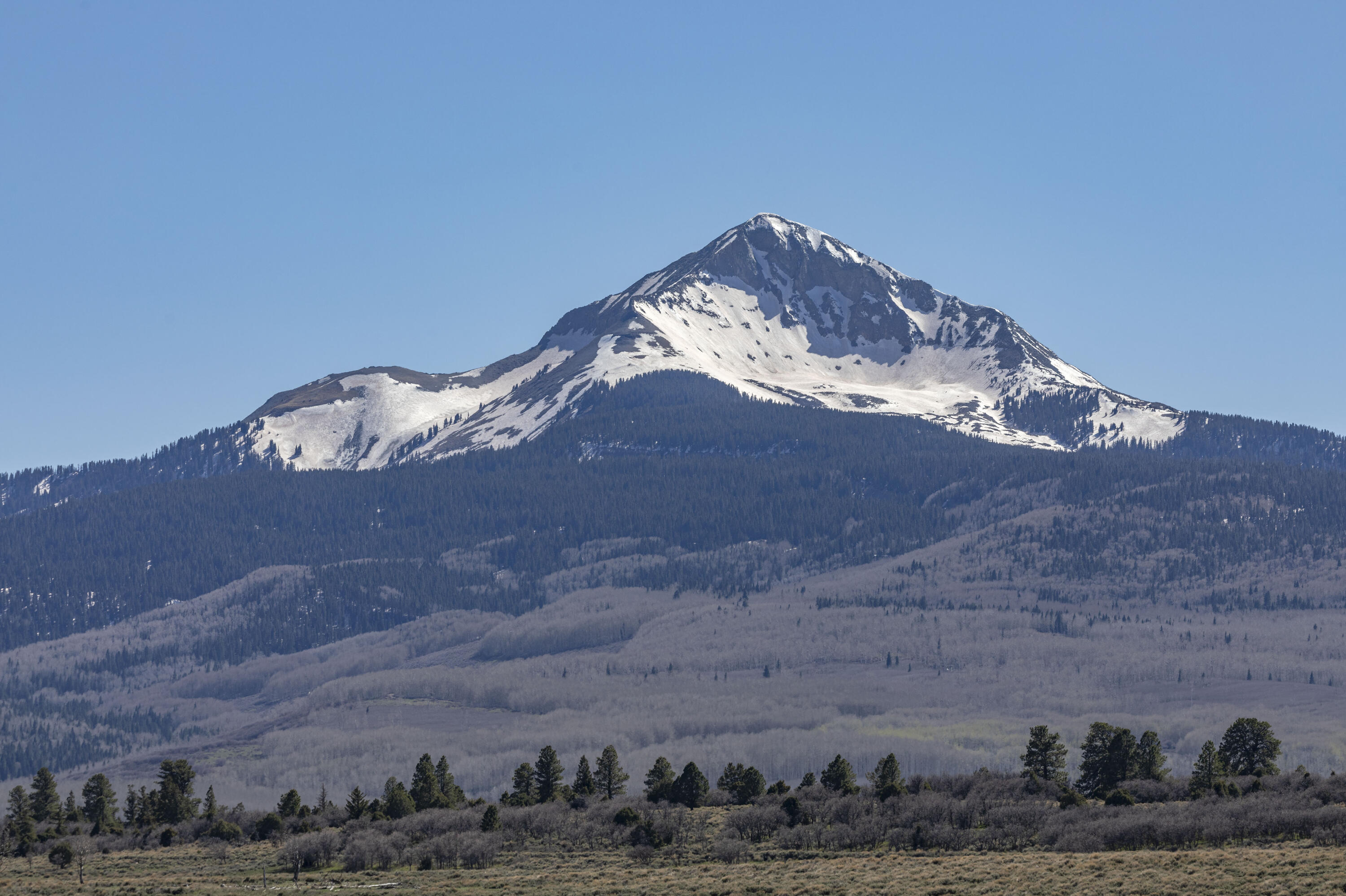 1692 County Road Placerville, CO 81430 - Photo 24 of 36