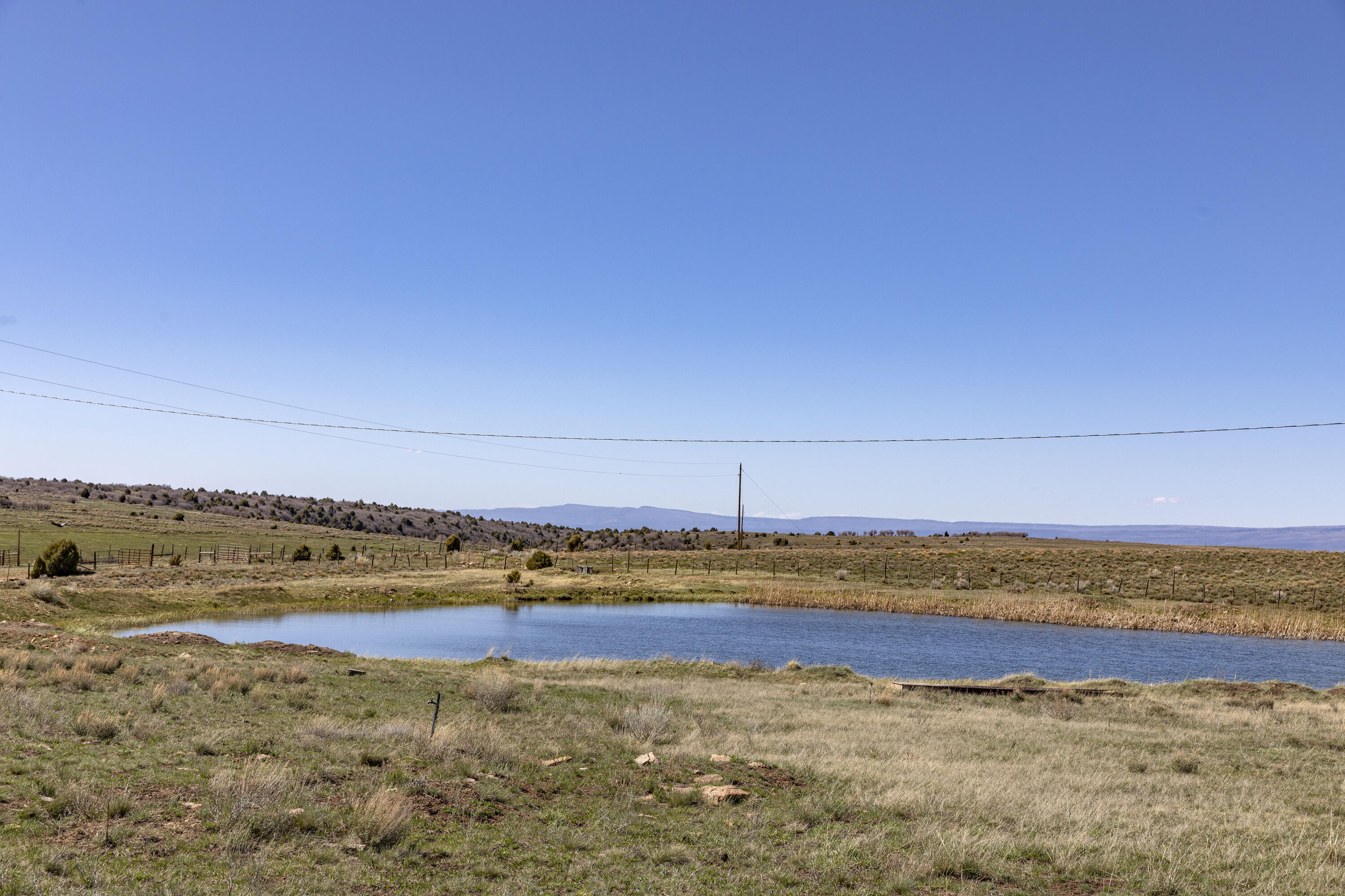 1692 County Road Placerville, CO 81430 - Photo 27 of 36