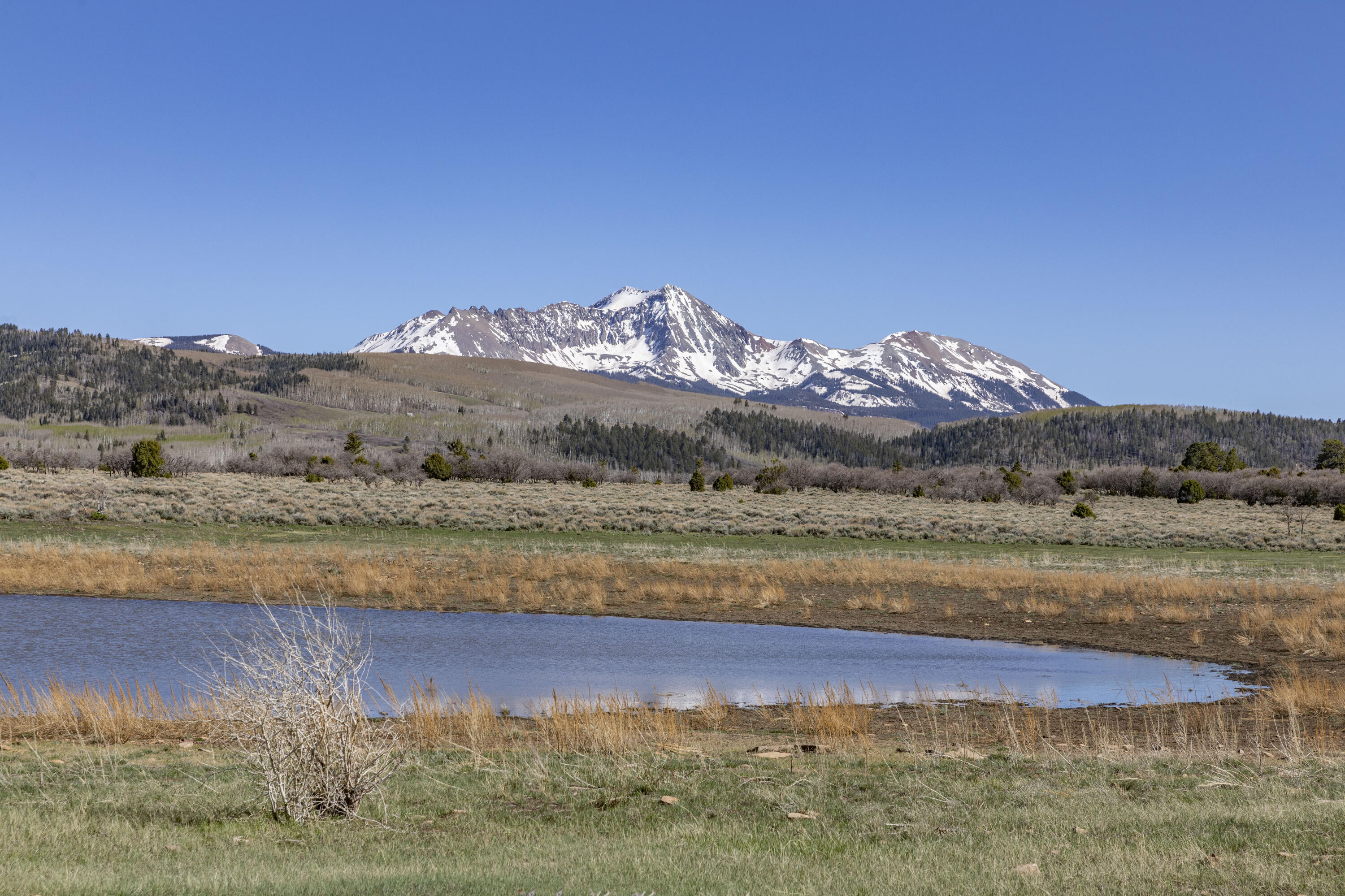 1692 County Road Placerville, CO 81430 - Photo 28 of 36 a view of lake and mountain
