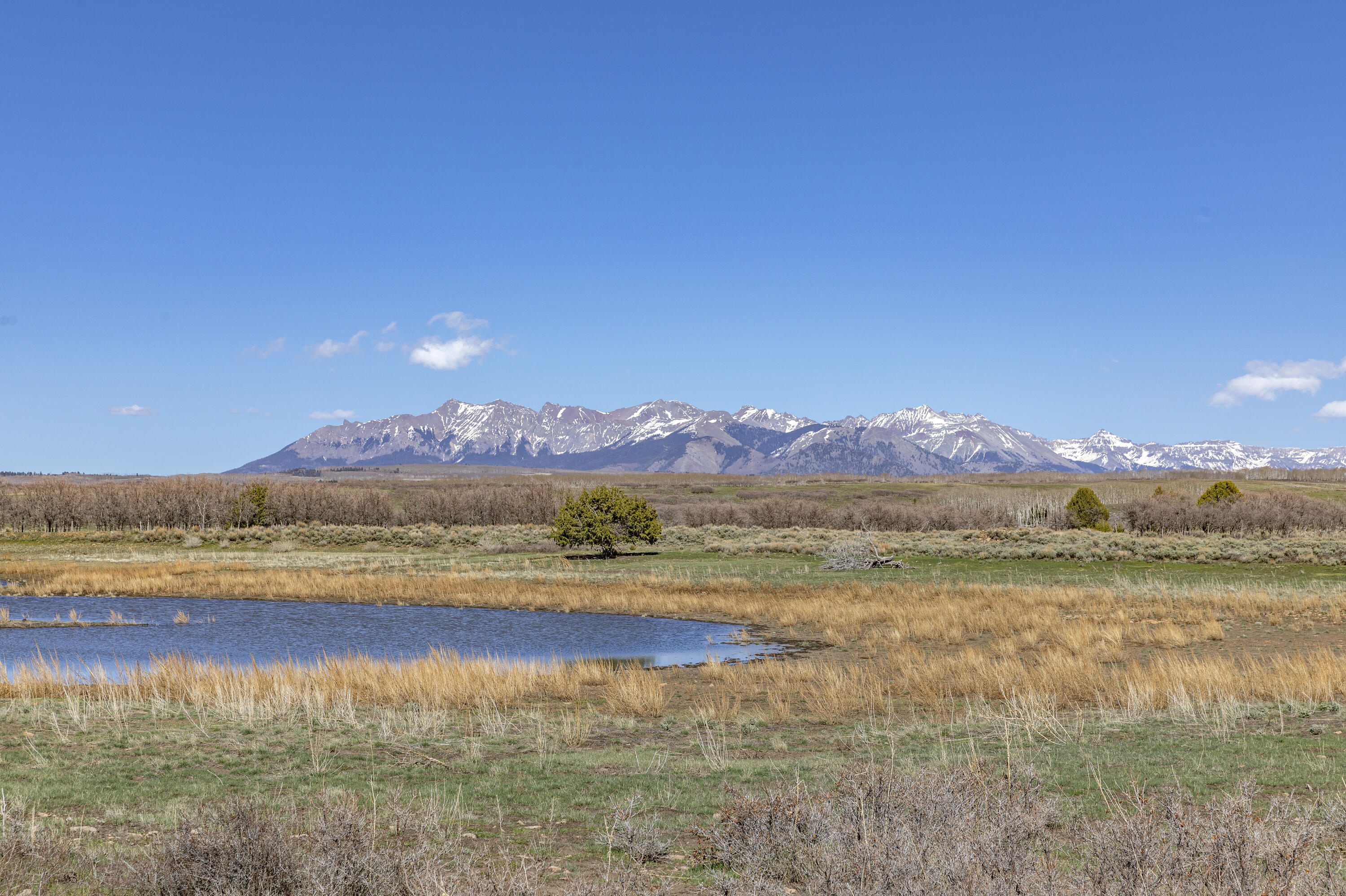 1692 County Road Placerville, CO 81430 - Photo 29 of 36 a view of lake and mountain