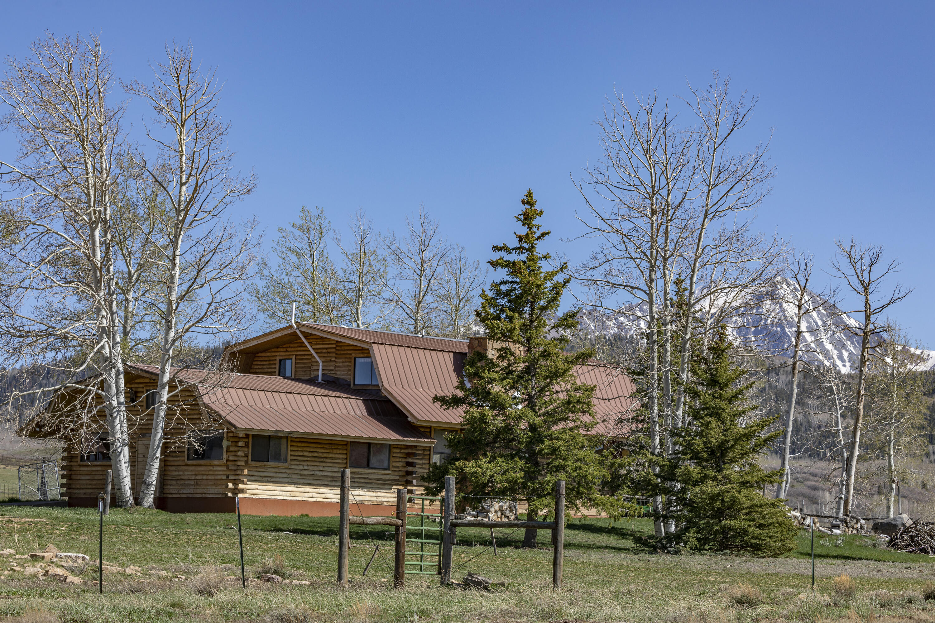 1692 County Road Placerville, CO 81430 - Photo 7 of 36 a view of a house with a yard