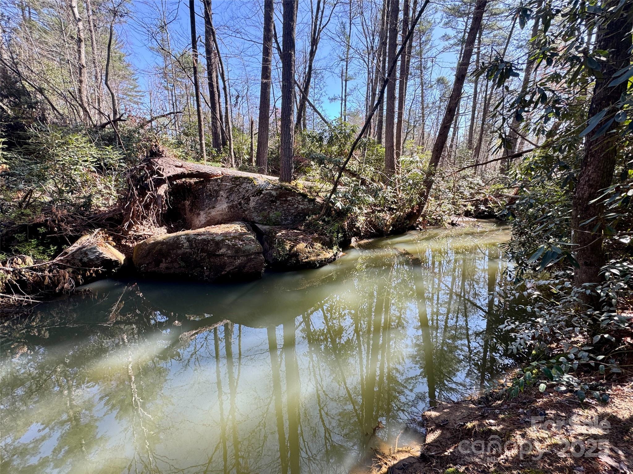 45 Stones Lake Road Cedar Mountain, NC 28718 - Photo 13 of 19