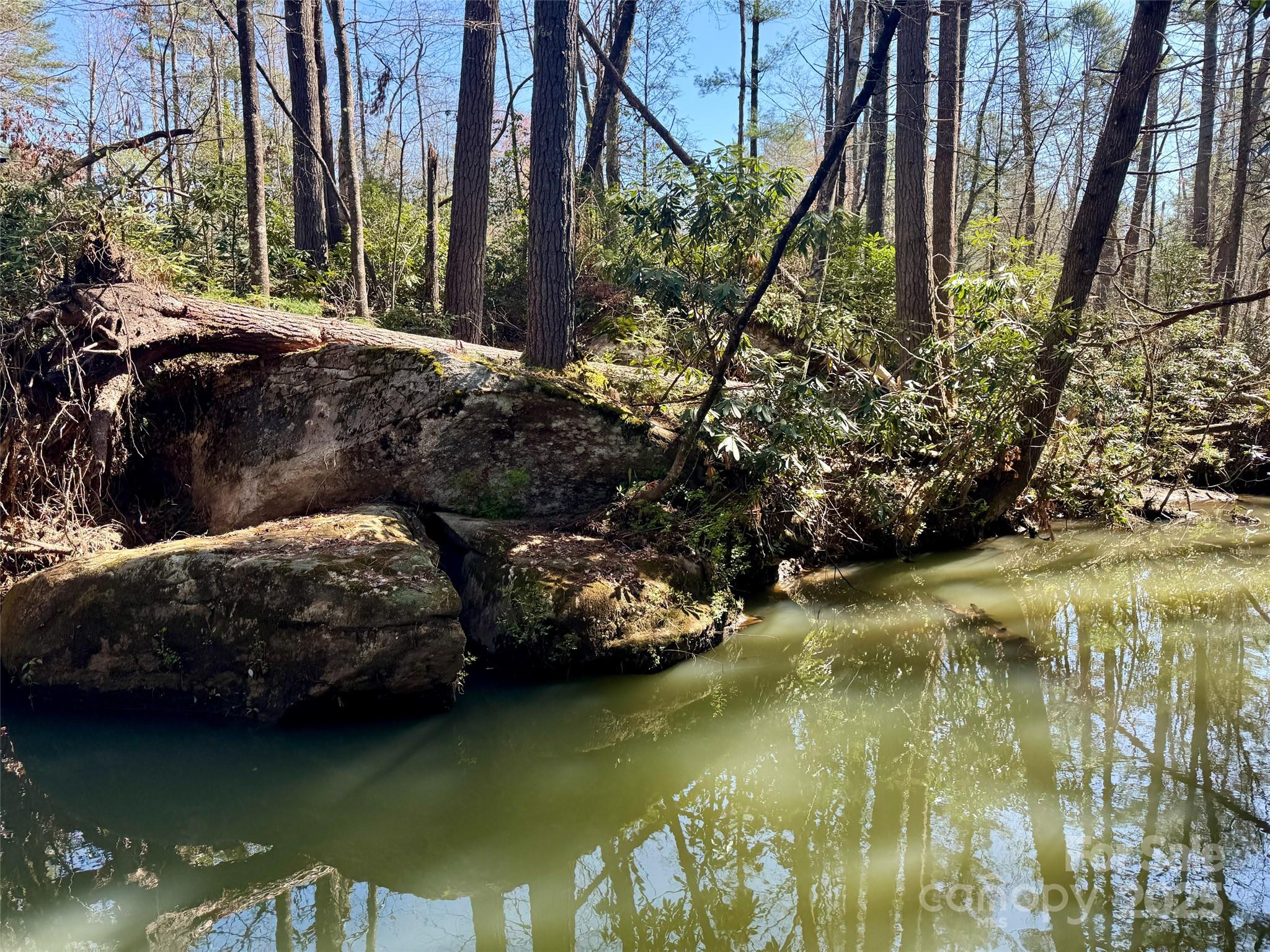 45 Stones Lake Road Cedar Mountain, NC 28718 - Photo 14 of 19