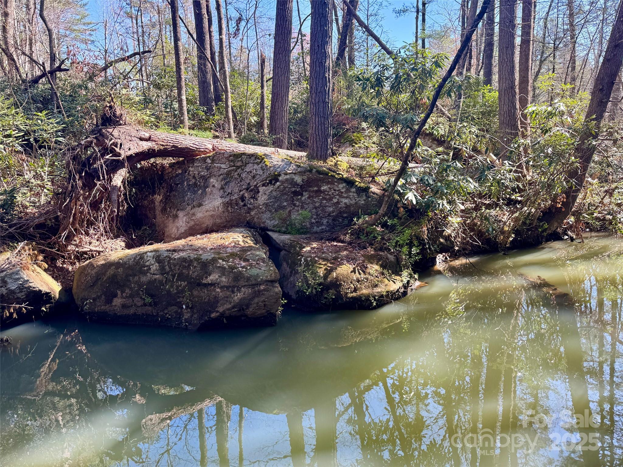 45 Stones Lake Road Cedar Mountain, NC 28718 - Photo 15 of 19 a view of lake with green space