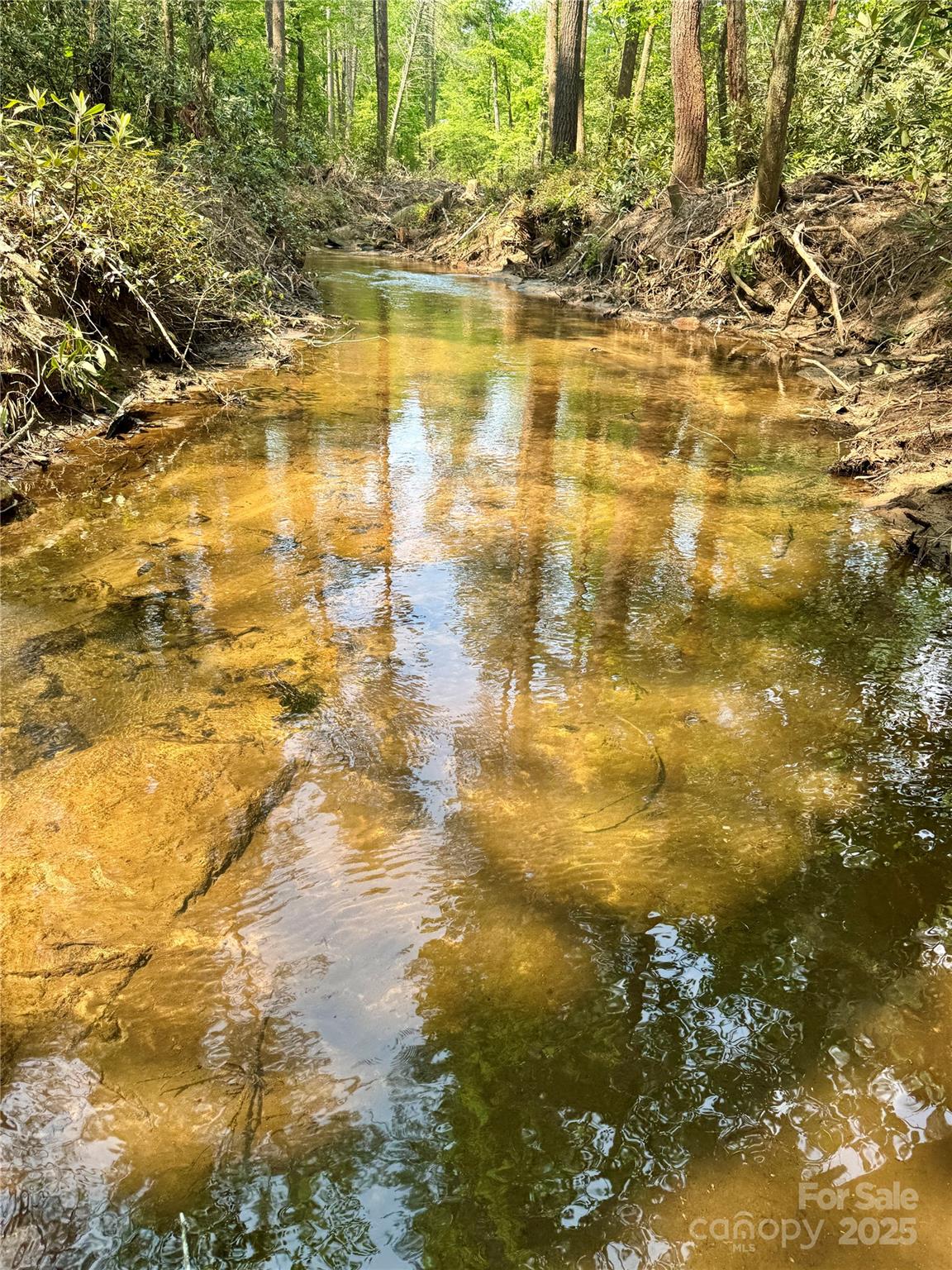 45 Stones Lake Road Cedar Mountain, NC 28718 - Photo 3 of 19 a view of an ocean view