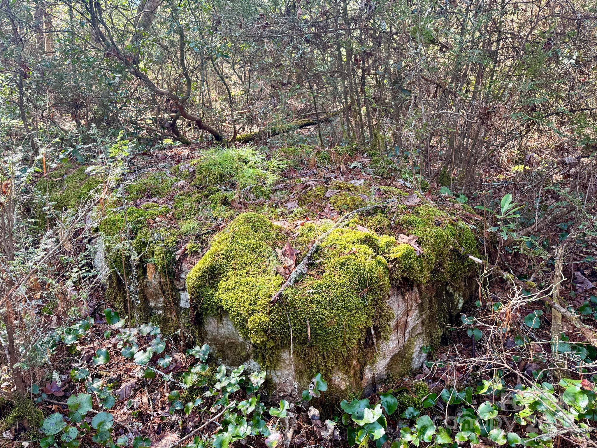 45 Stones Lake Road Cedar Mountain, NC 28718 - Photo 6 of 19 a backyard of a house with lots of green space and a fountain