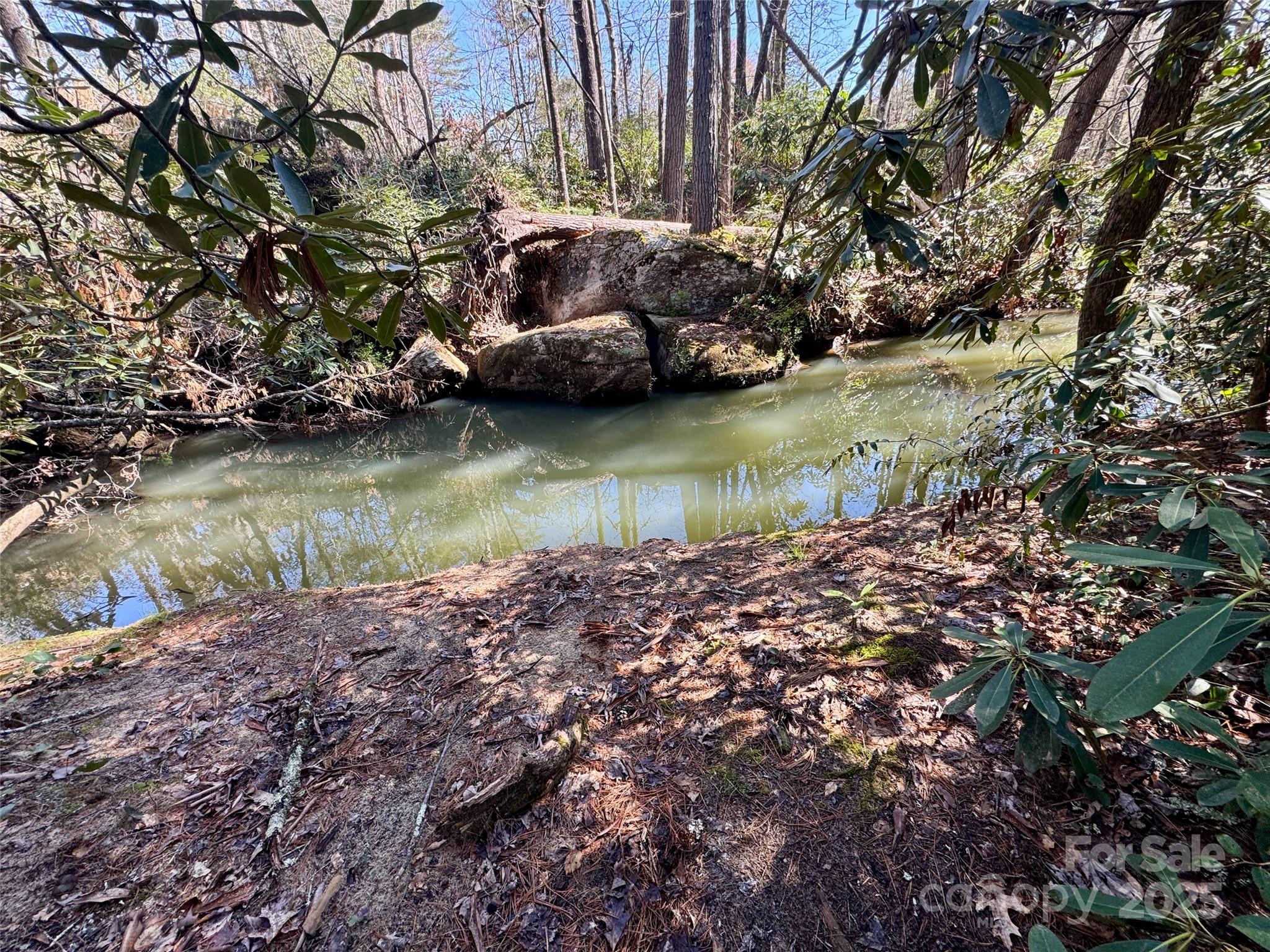 45 Stones Lake Road Cedar Mountain, NC 28718 - Photo 7 of 19 a view of a lake with houses