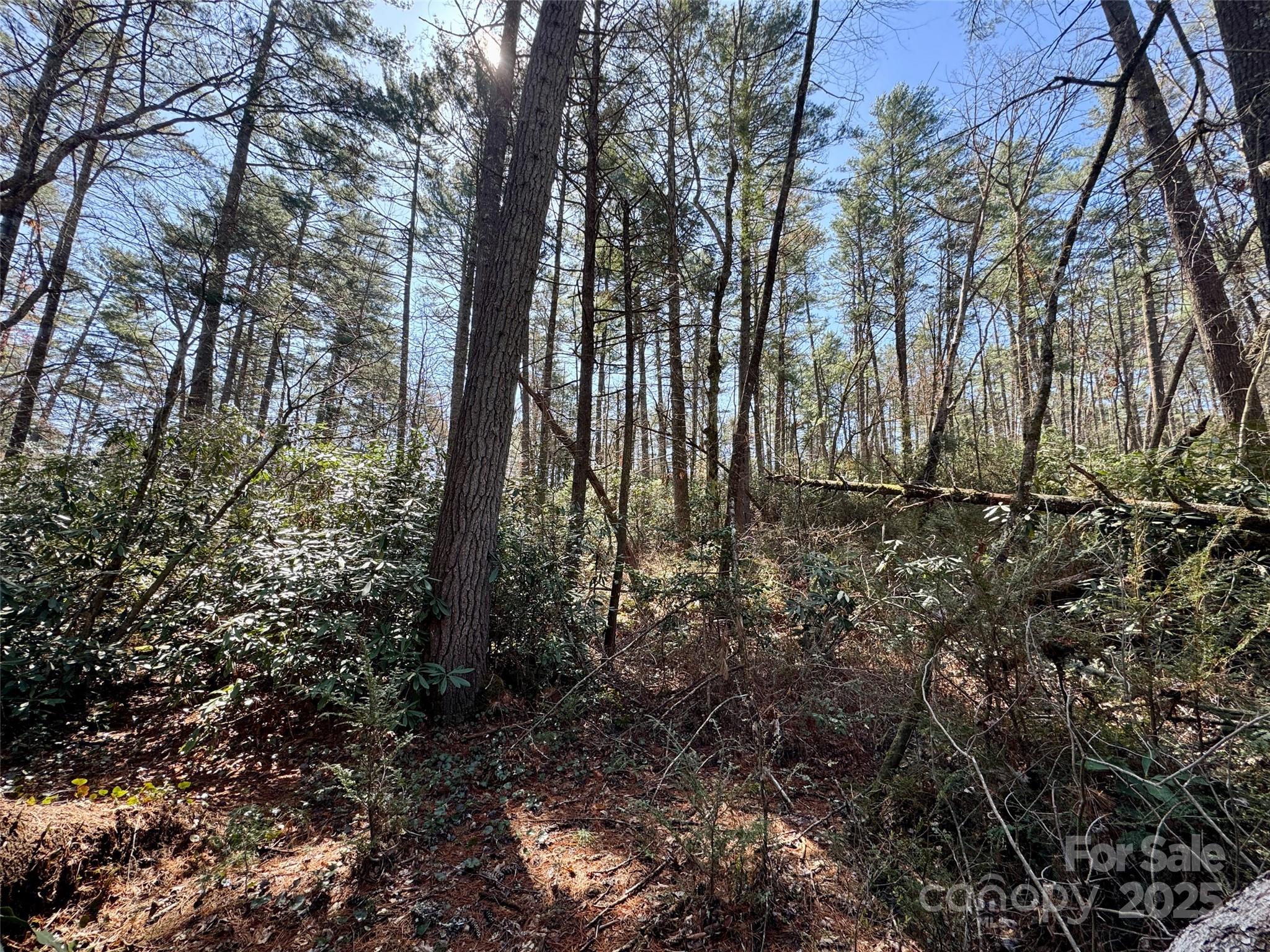 45 Stones Lake Road Cedar Mountain, NC 28718 - Photo 8 of 19