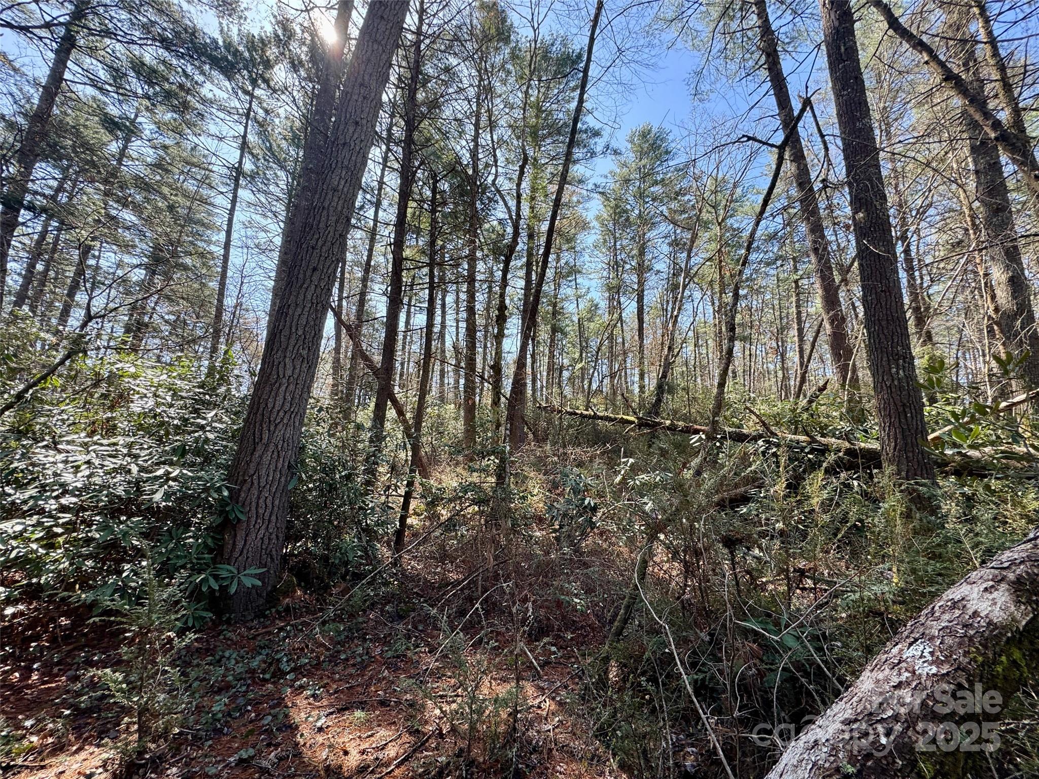 45 Stones Lake Road Cedar Mountain, NC 28718 - Photo 10 of 19 a view of backyard of a building