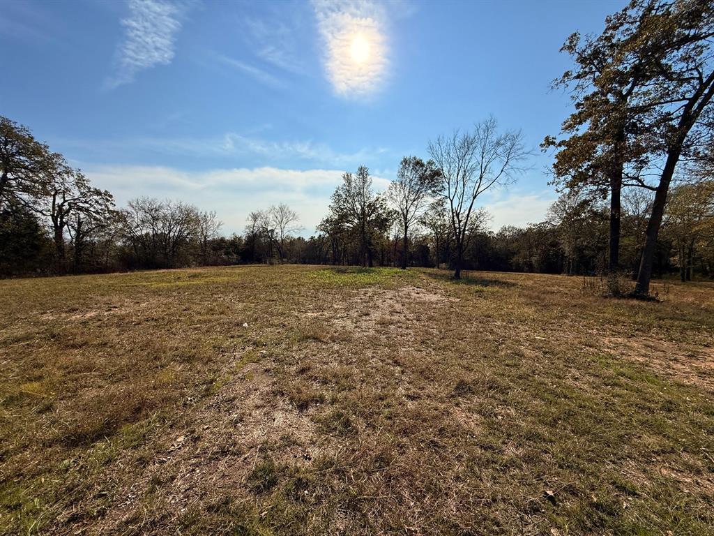 527 Highway 175 Eustace, TX 75124 - Photo 2 of 6 a view of a field with an trees