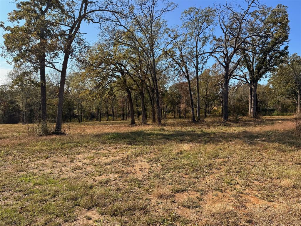 527 Highway 175 Eustace, TX 75124 - Photo 4 of 6 a view of outdoor space with trees