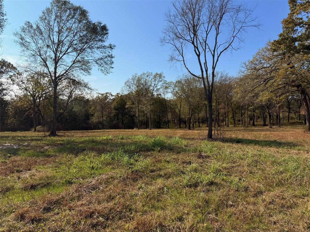 527 Highway 175 Eustace, TX 75124 - Photo 5 of 6 a view of outdoor space with trees