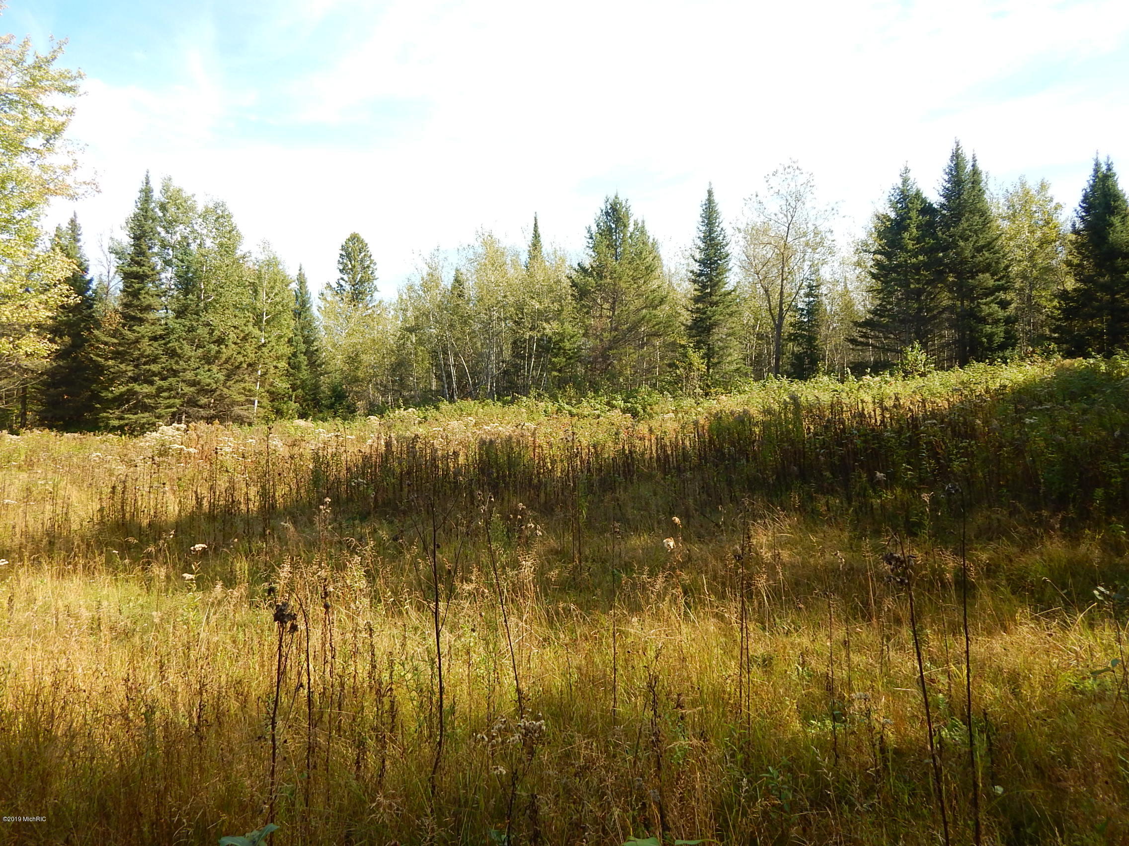 3775 Oman Road Felch, MI 49831 - Photo 25 of 31 File_006 (4)