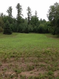 3775 Oman Road Felch, MI 49831 - Photo 10 of 31 IMG_1005