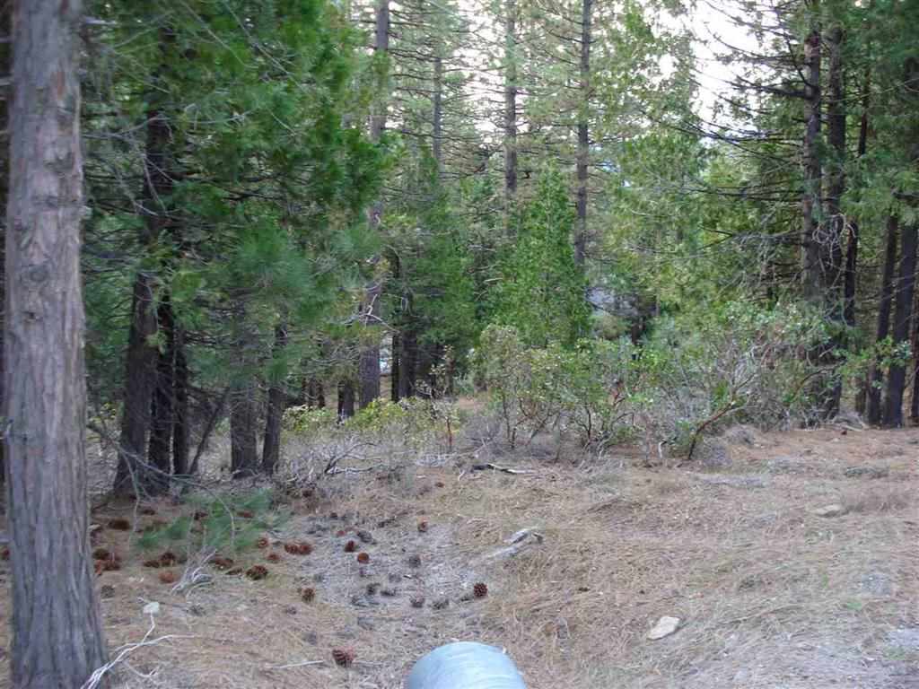 525 C Road Clio, CA 96106 - Photo 10 of 15