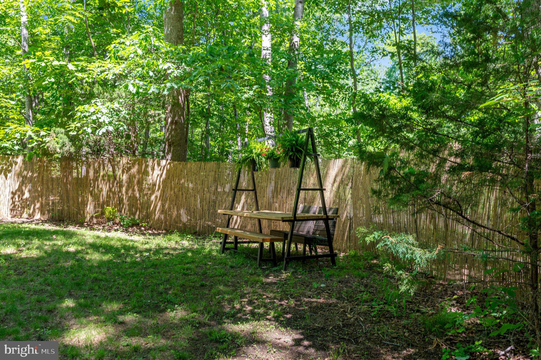 11408 Dutch Hollow Road Culpeper, VA 22701 - Photo 64 of 85 back yard