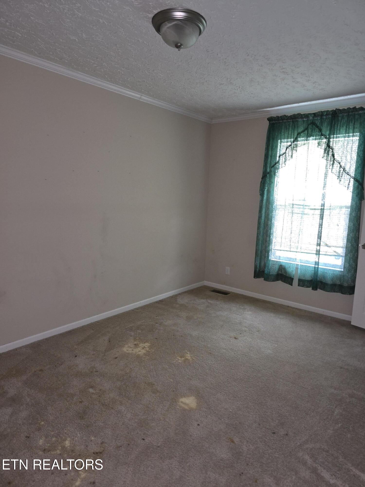 1338 Central Point Road Rutledge, TN 37861 - Photo 22 of 27 1000017789